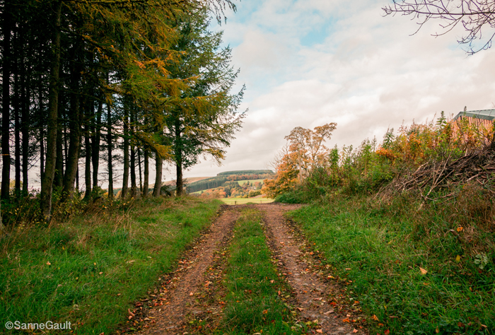 Autumn path.jpg